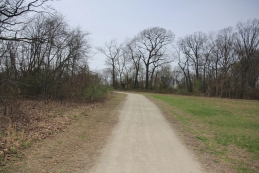 Newton's Landing Trail Area